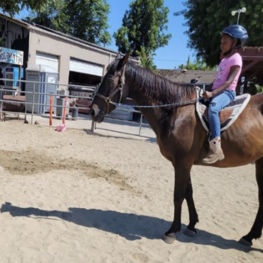 Summer Camp Horse riding