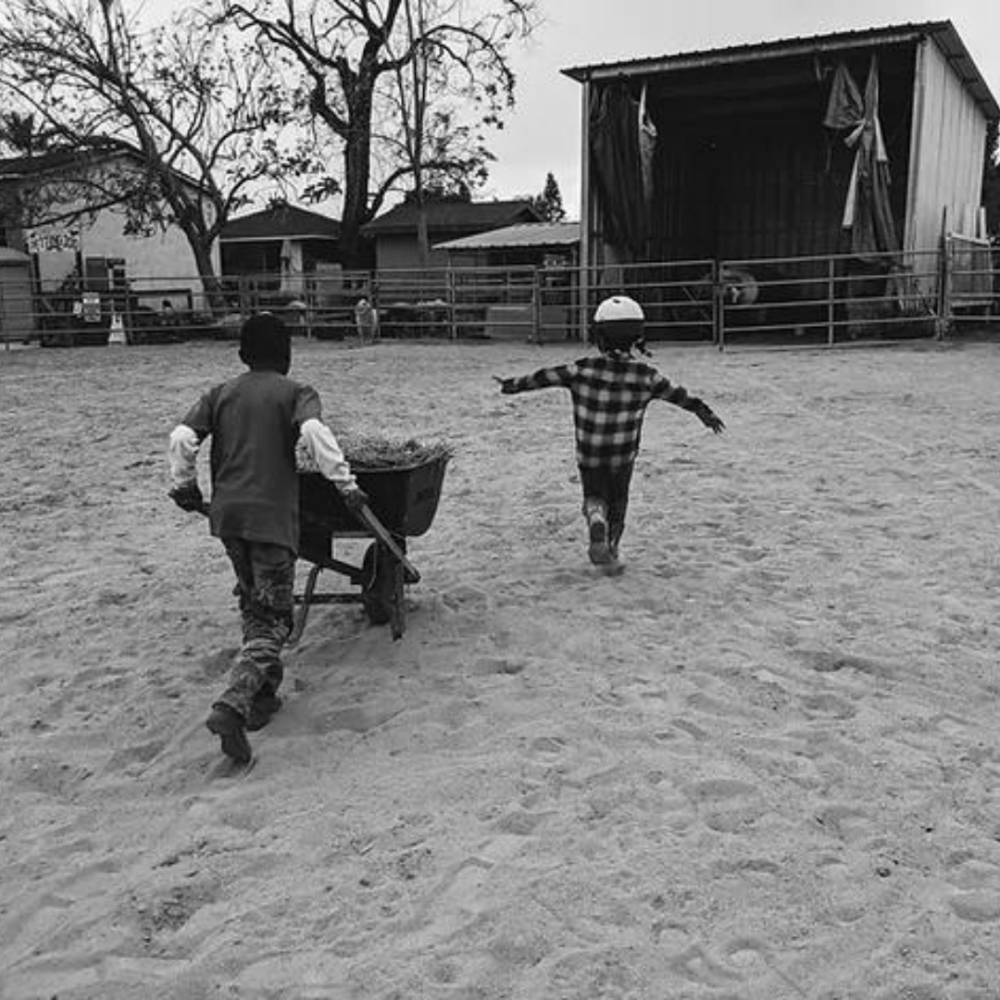 Other Support Options​