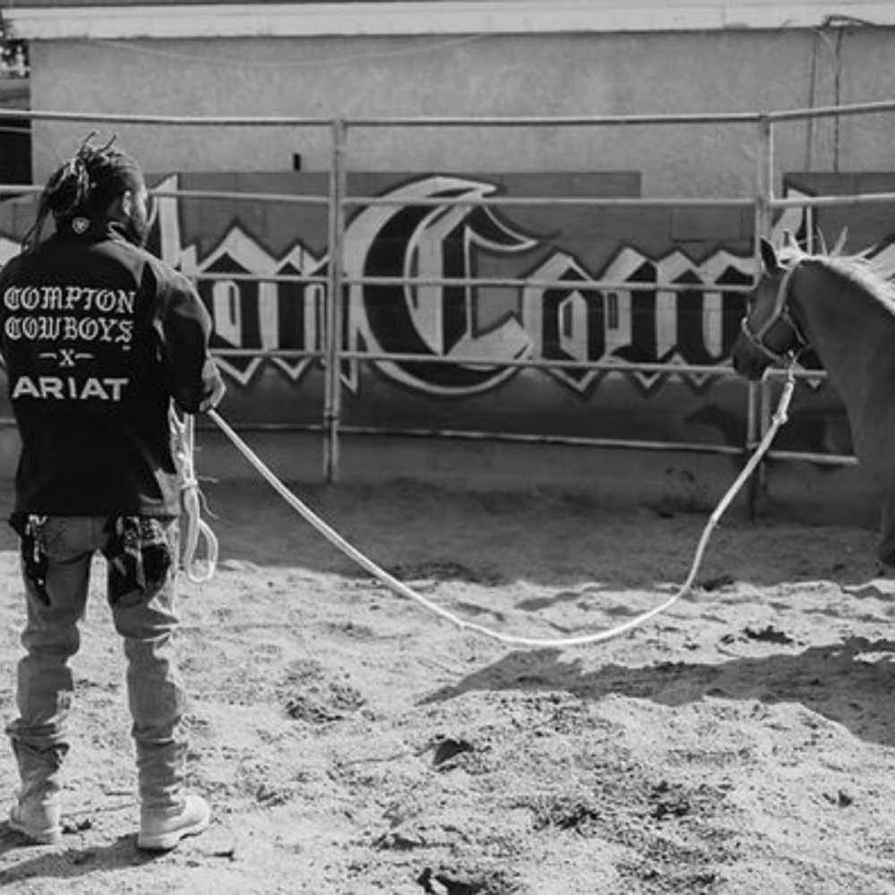 Support our Horses​