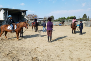 equestrian events