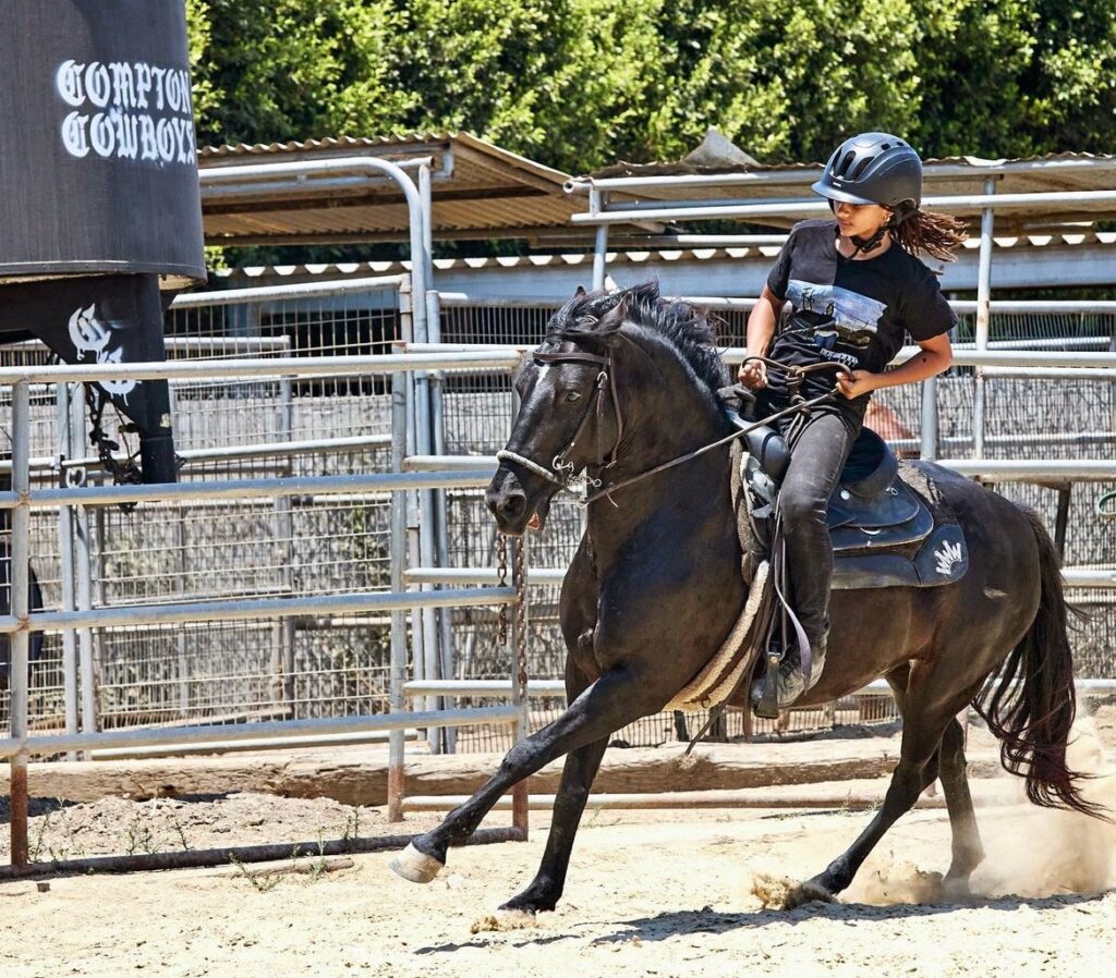 english riding compton