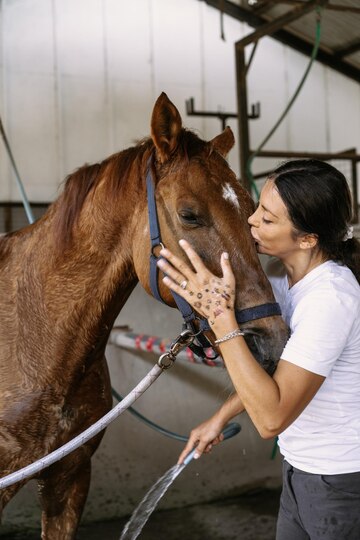 Equine Therapy