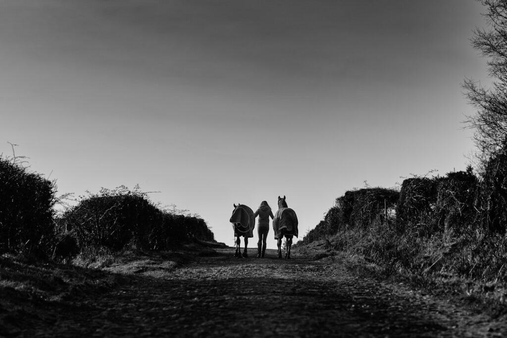 Photo Urban Equestrian