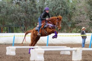 Photo Horse jumping