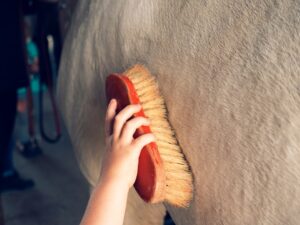 Photo Horseback riding